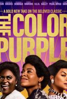 The Color Purple Türkçe Dublaj İzle