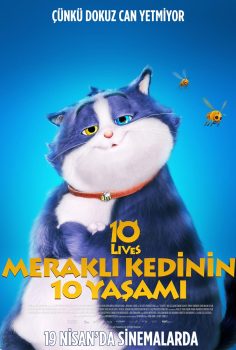 Meraklı Kedinin 10 Yaşamı Full HD Türkçe Dublaj TekPart izle